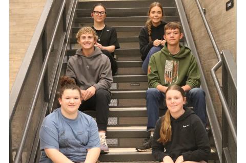 Article Image Alt Text