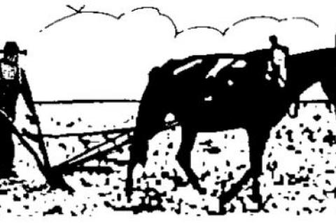 Little brother: ‘When do I die?’