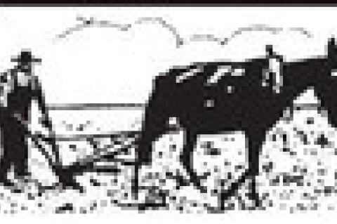 VIEW from behind the plow