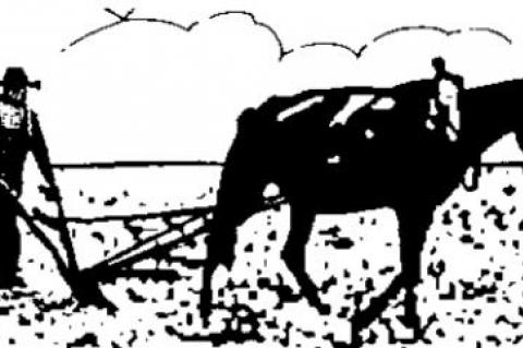 Women’s sports support strong