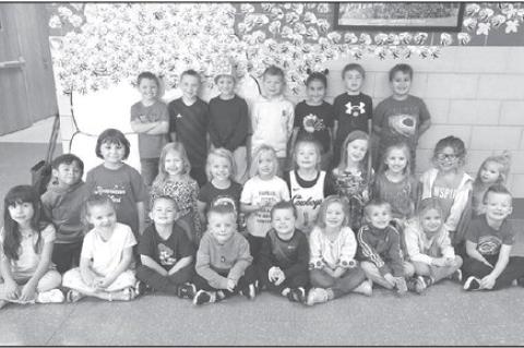 Article Image Alt Text