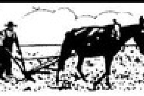 VIEW from behind the plow