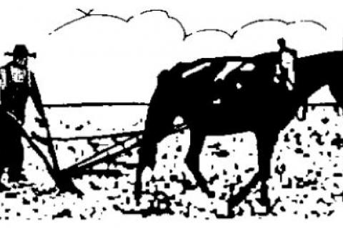 Our Thanksgiving would be illegal in Oregon