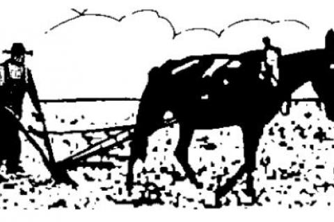 Face of Democratic party? Nancy for big fit or Bernie for socialist agenda?