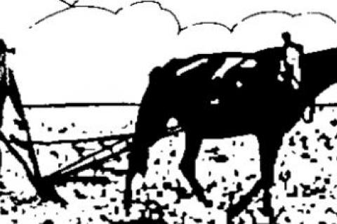 Biden picking anti-free speech cabinet