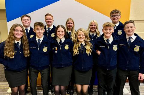 Article Image Alt Text