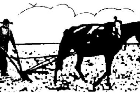 - VIEW - from behind the plow