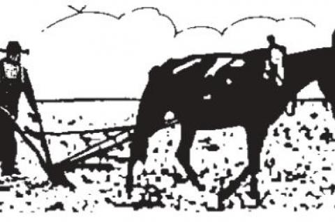 Deep State veil off; Demo plans revealed