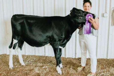 kingfisher County Fair Livestock show winners