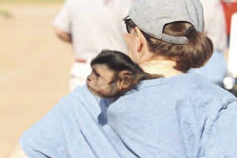 CHECKING UNDER THE HOOD