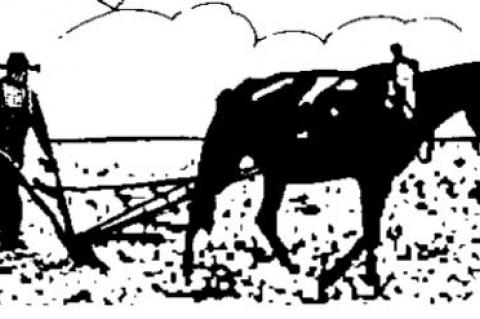 Trudeau makes decent decision?