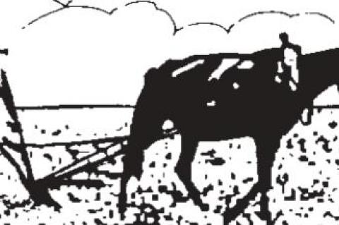 In Flanders Field’ had its detractors, too