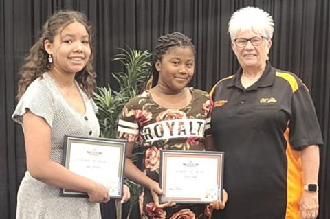 Article Image Alt Text