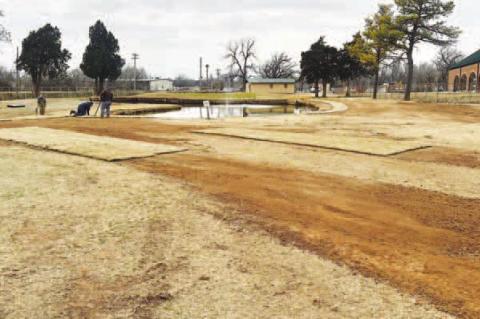 Better than par for the course