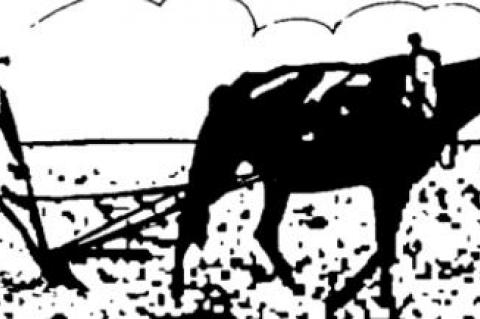 Producers paid little for food they grow