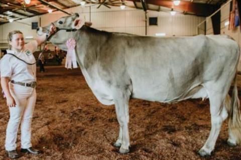 kingfisher County Fair Livestock show winners