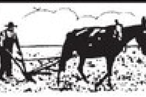 VIEW From Behind The Plow