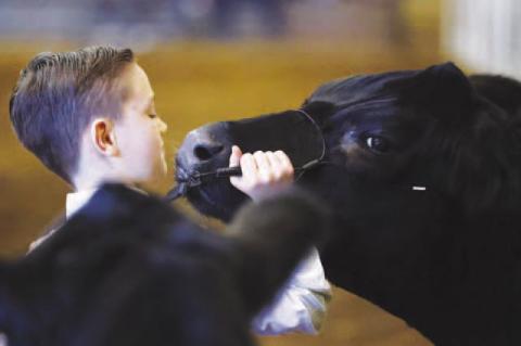 Scenes from 94th Kingfisher County Spring Livestock Show