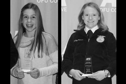 Article Image Alt Text