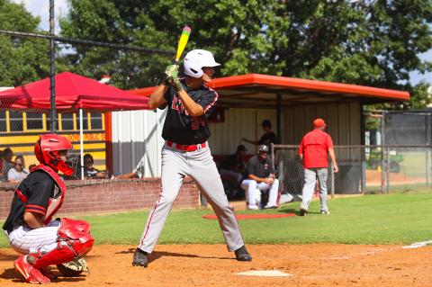 Article Image Alt Text