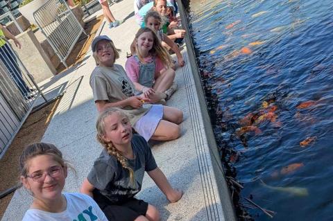 Article Image Alt Text