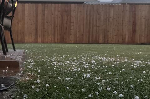 Article Image Alt Text