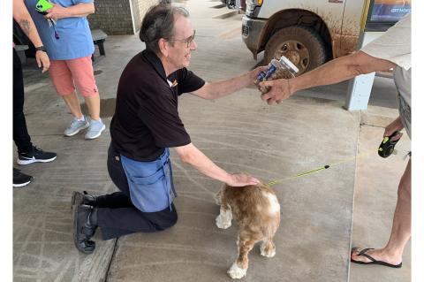 Article Image Alt Text