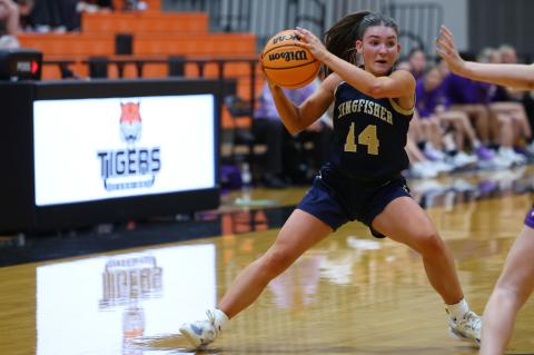 Article Image Alt Text