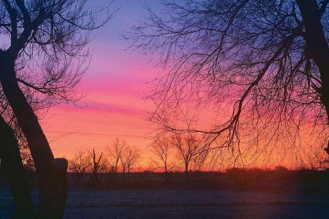 OH, WHAT A BEAUTIFUL MORNING