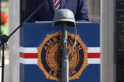 Article Image Alt Text