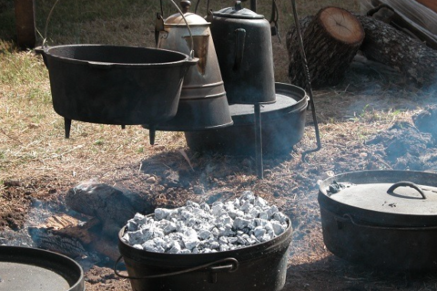 Article Image Alt Text