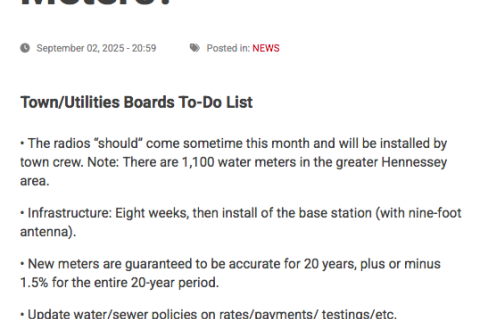 Article Image Alt Text