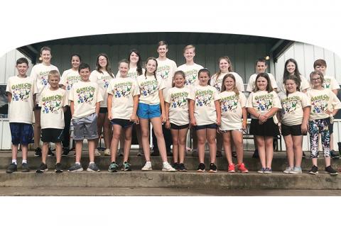 Article Image Alt Text