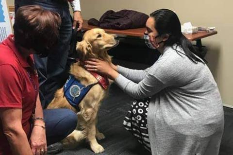 Article Image Alt Text