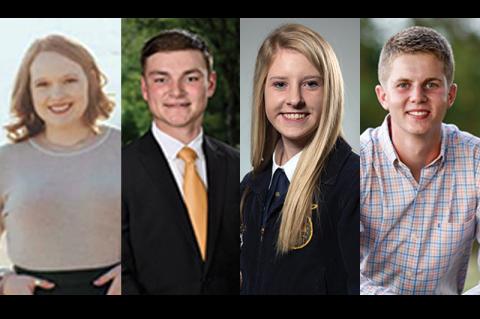 Article Image Alt Text