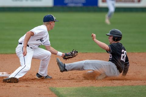 Article Image Alt Text