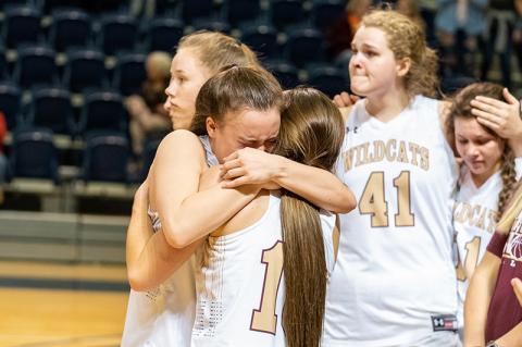 Article Image Alt Text