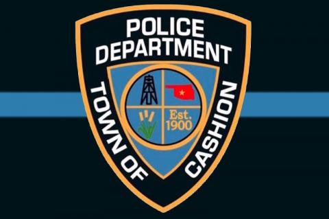 Article Image Alt Text