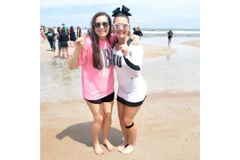 Article Image Alt Text