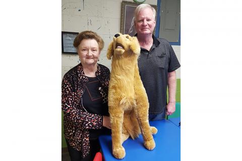 Article Image Alt Text