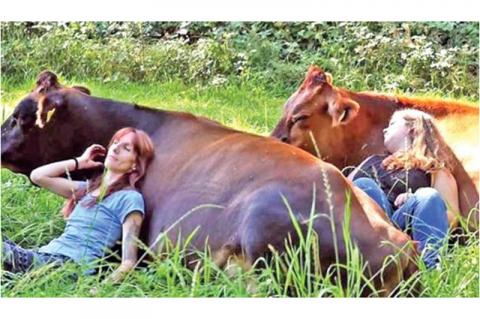 Article Image Alt Text