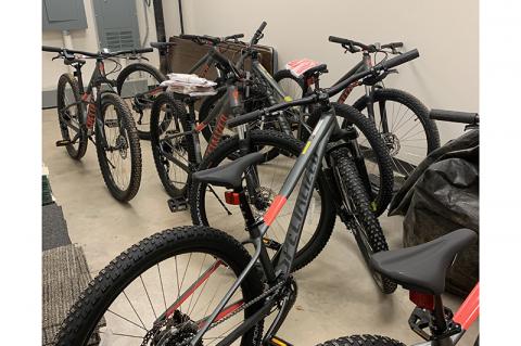 Article Image Alt Text