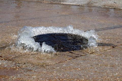 Article Image Alt Text