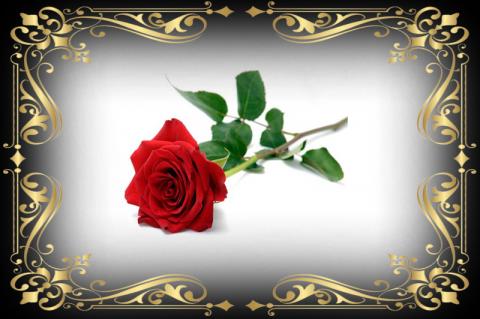 Article Image Alt Text