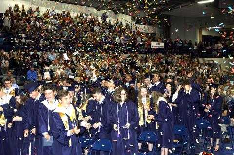 Article Image Alt Text