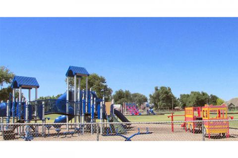 Article Image Alt Text