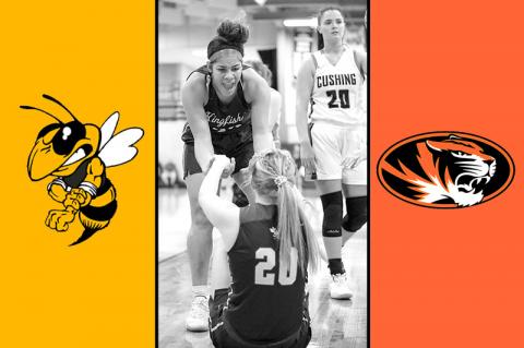 Article Image Alt Text