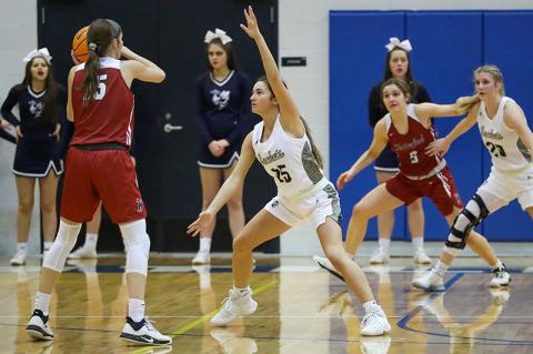 Article Image Alt Text