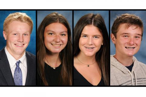 Article Image Alt Text