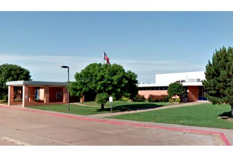 Article Image Alt Text